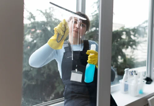 Nettoyage de vitres intérieures et extérieures à Laguian-Mazous